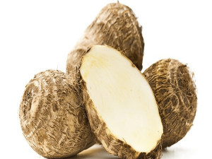 Taro 1a